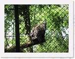 Dierentuin Burgers  Zoo 024 * 3648 x 2736 * (7.13MB)